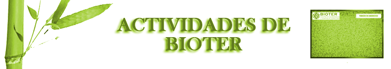 ACTIVIDADES